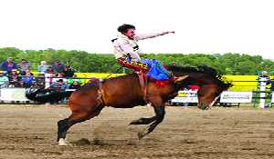 Bulls and Broncs this Saturday in Moosomin